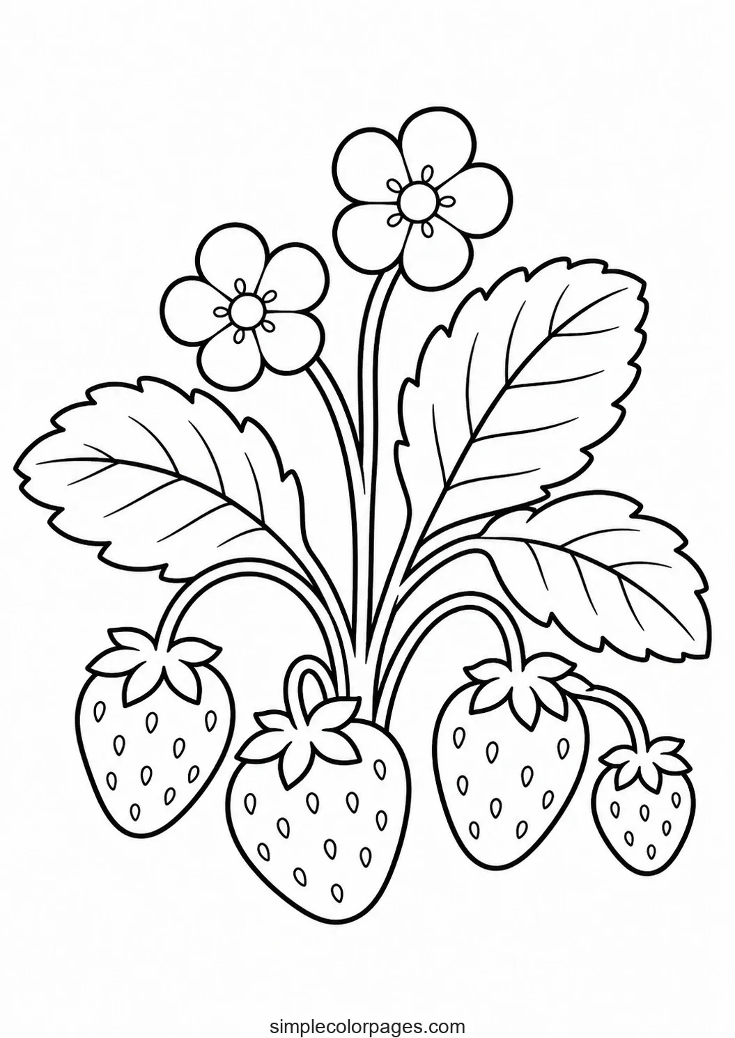 Preview of Strawberry Plant Coloring Page